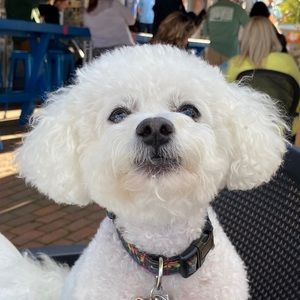 Meet your Posher, James